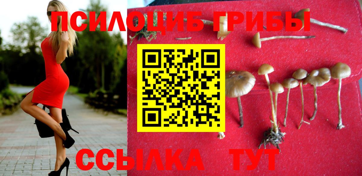 Псилоцибиновые грибы Magic Shrooms  Псилоцибиновые грибы прущие грибы  Владивосток  как найти наркотики  Вход с VPN 