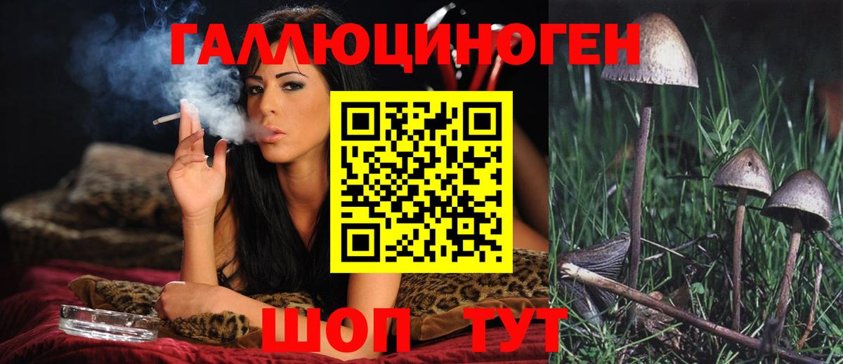Галлюциногенные грибы MAGIC MUSHROOMS Владивосток